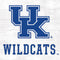 University of Kentucky University of Kentucky Wildcats Wii (Includes 1 Controller) Skin